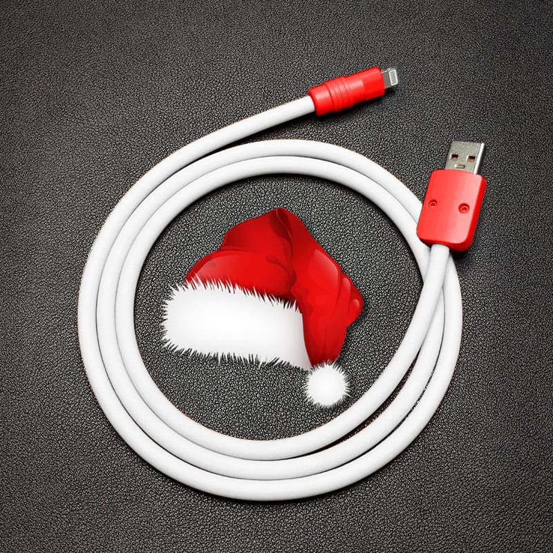 "Chubby Christmas" Christmas Special Fast Charge Cable